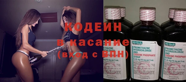 гидра Анива