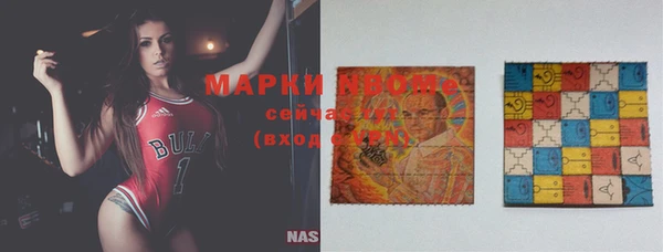 индика Алапаевск